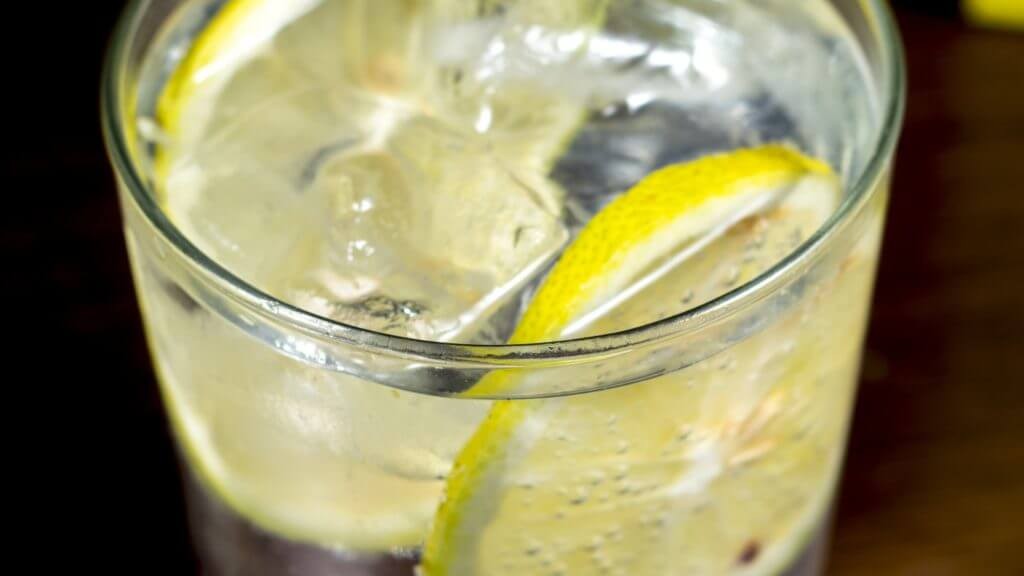 Elderflower Gin and Tonic – Carmel Berry Co.