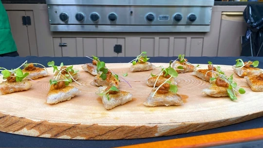 Image of Crispy Plant Based Bites with Spicy Peanut Hoisin Sauce