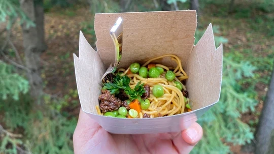 Image de sauté asiatique à base de plantes avec nouilles