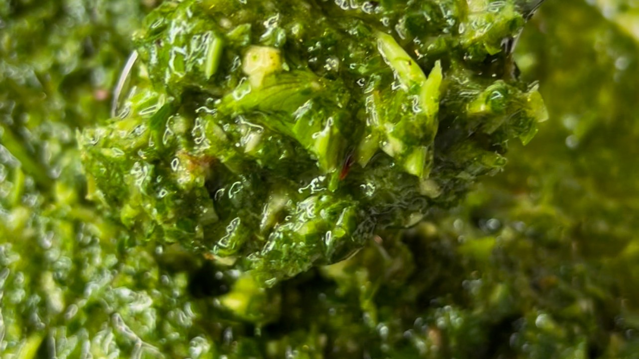 Image of Best Chimichurri!