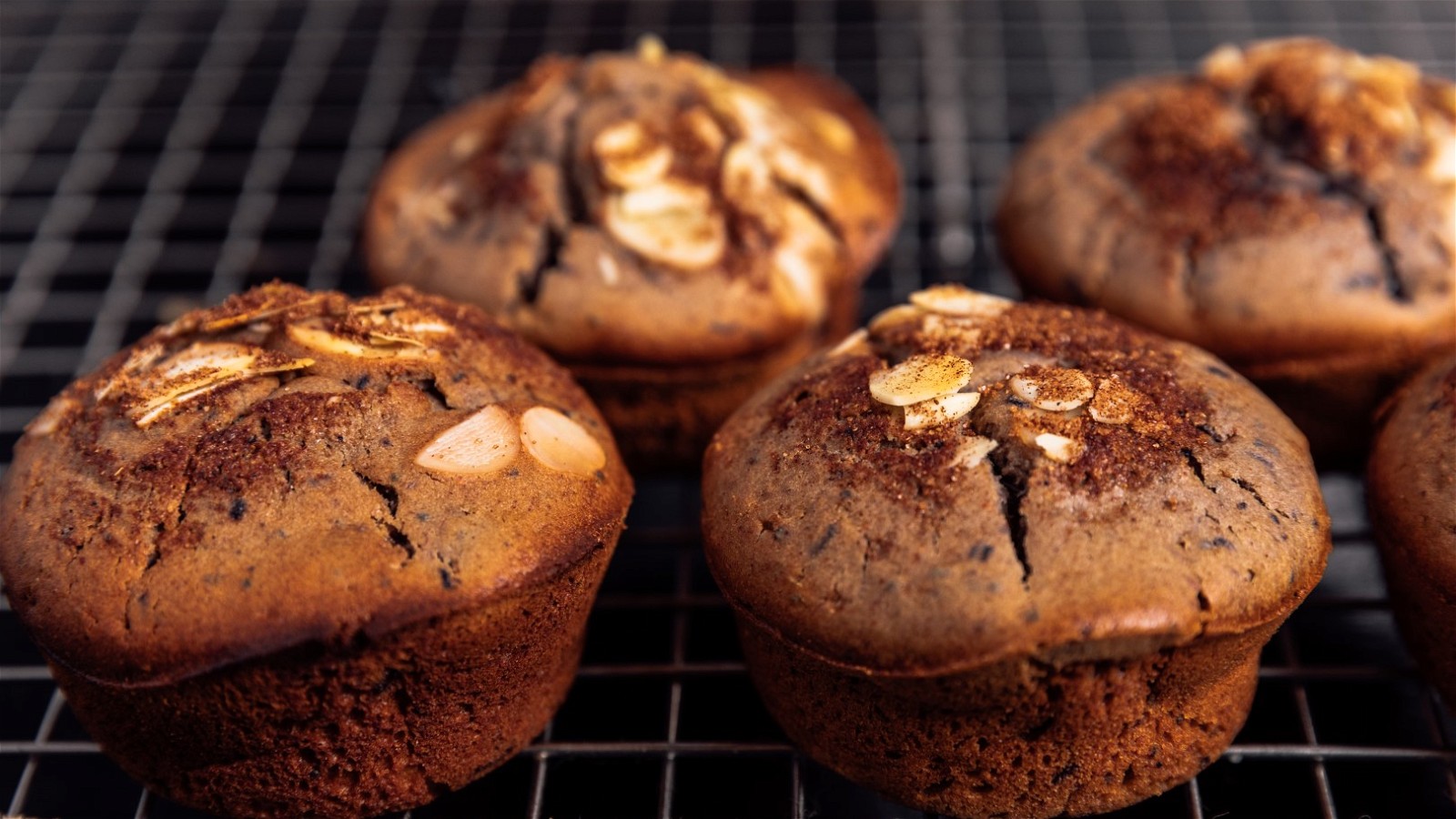 Image of Blueberry Breakfast Muffins