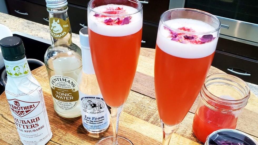 Image of Rhubarb Cordial and Gin Cocktail