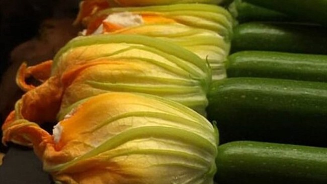 Image of Ruth Chipps’ Summer Squash