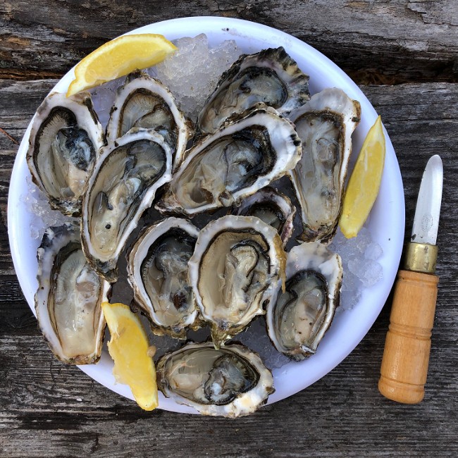 Image of Fresh Oysters on the Half Shell with Mignonette 