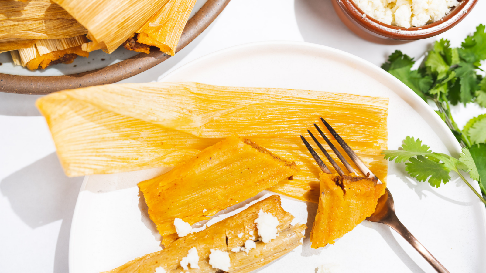 Image of Chicken Mole Tamales