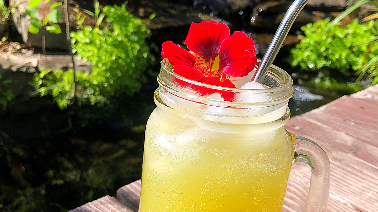 Image of Cocktail Gin-Coco