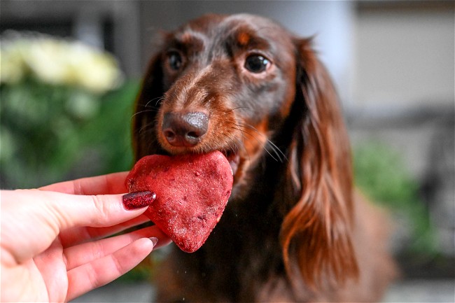 Image of Valentine Dog Treats