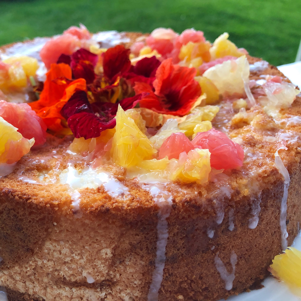 Gâteau Jonquille