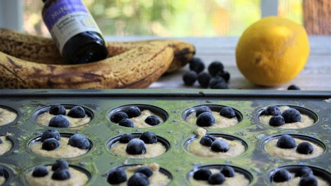Lemon Blueberry Mini Muffins – NuNaturals