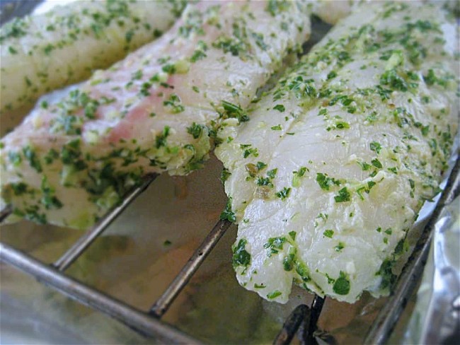 Image of Baked Fish & More Chimichurri