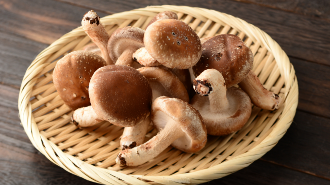 Image of Shiitake Mushroom Omelette