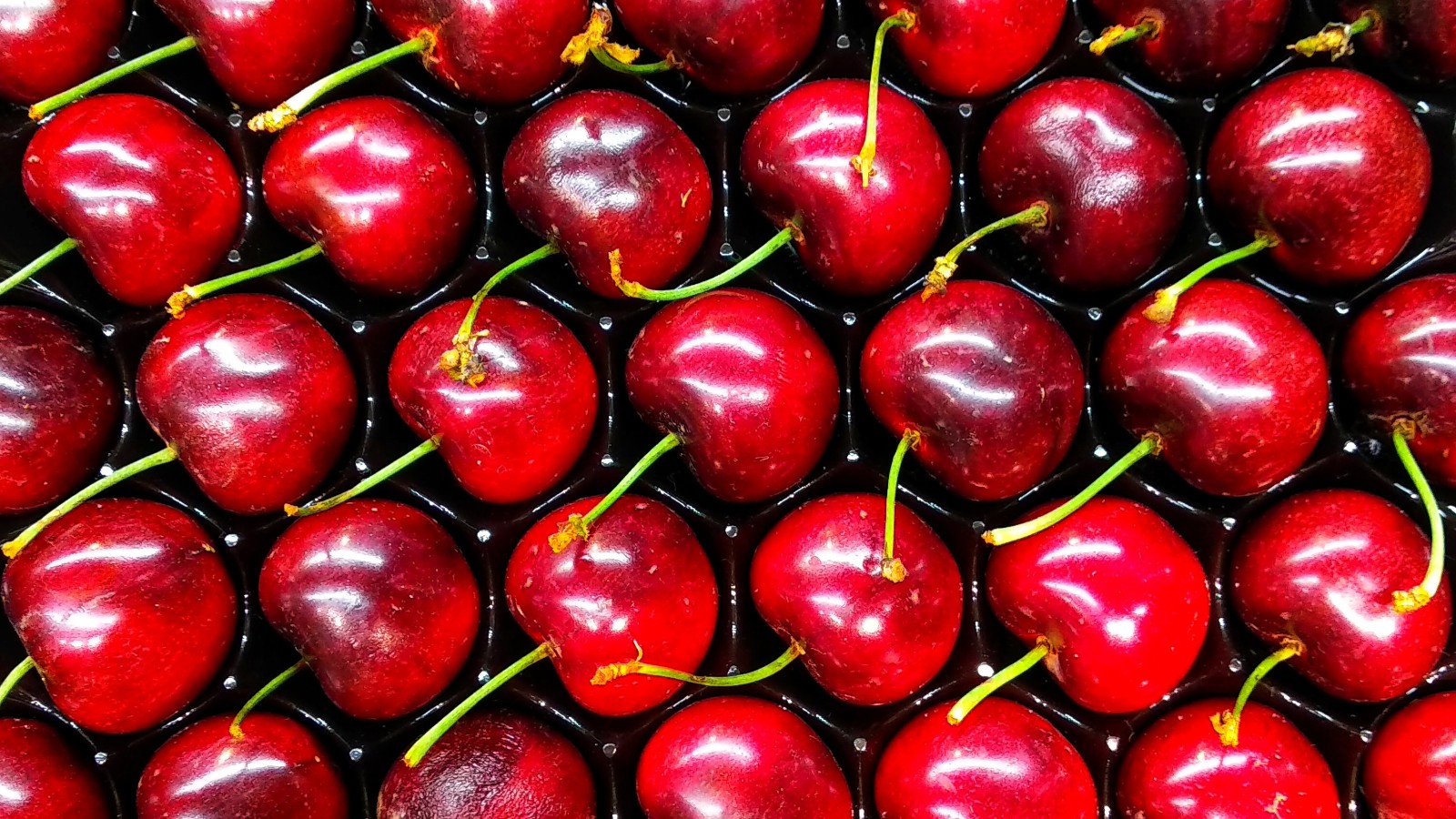 Image of Simple Cherry Mead Recipe