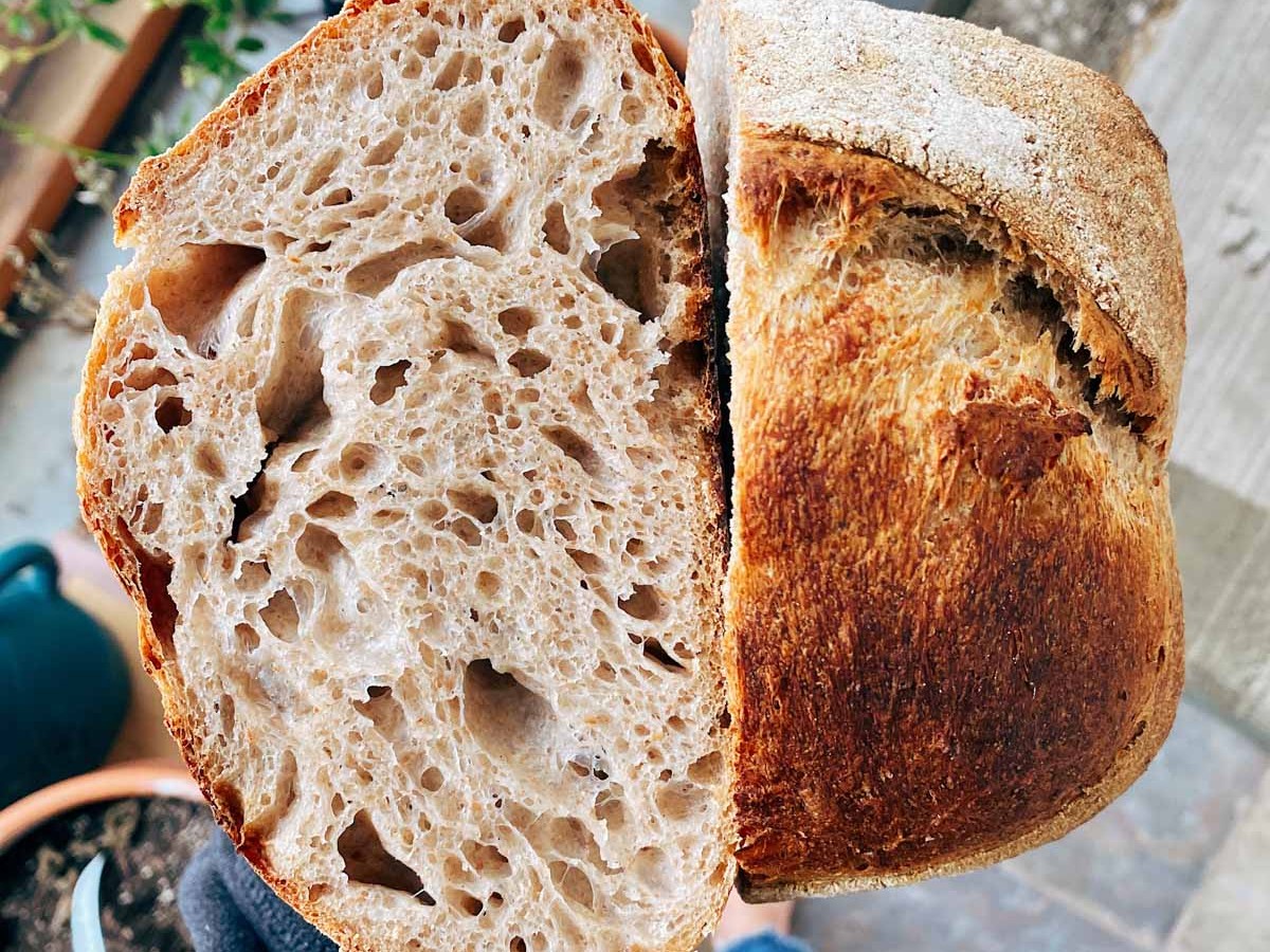 https://images.getrecipekit.com/20220213223410-sourdough-20beginner-20bread.jpg?aspect_ratio=4:3&quality=90&