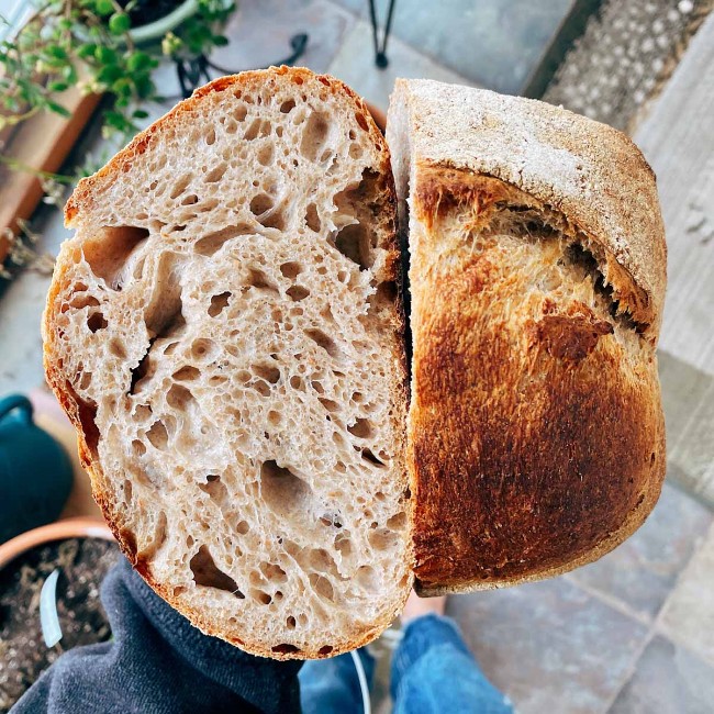 Image of Beginner Sourdough Bread Recipe
