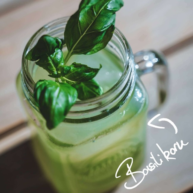 Image of Fresh Basilikorn 🌿