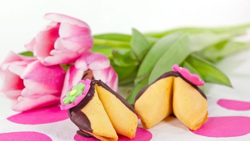 Image of Chocolate Covered Fortune Cookies