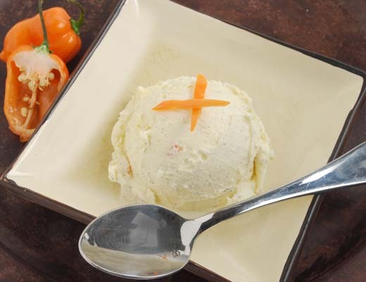 Image of Habanero Vanilla Bean Ice Cream