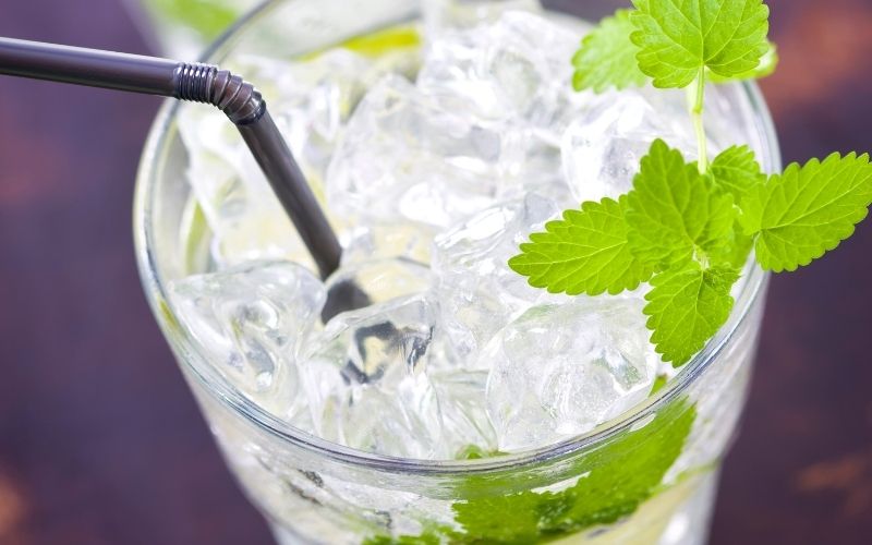 10-Calorie Oceanside Fizz