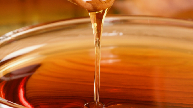 Image of Making Liquid Maple Syrup from Granulated Maple Sugar