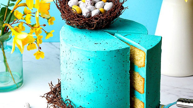 Image of Easter Speckled Egg Cake