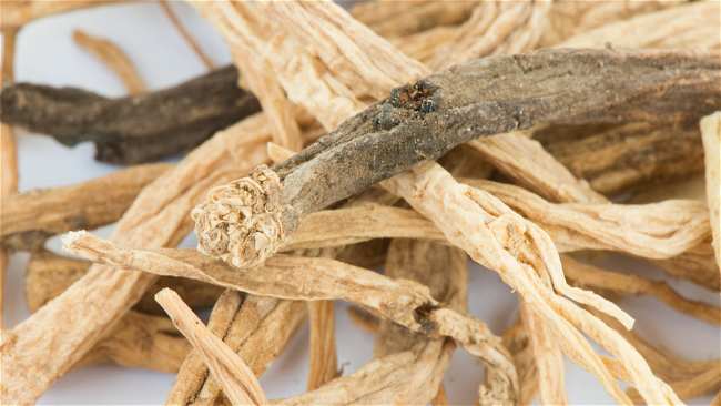 Image of Codonopsis & Astragalus Root Tea