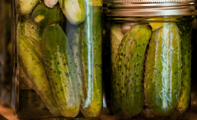 Image of Homemade Dill Pickles