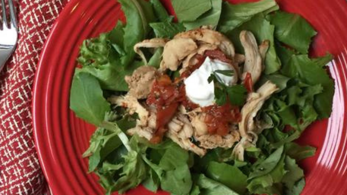Tender Taco Chicken- a Lean and Green Instapot Recipe