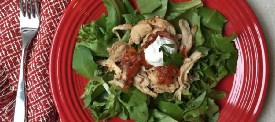 Tender Taco Chicken- a Lean and Green Instapot Recipe