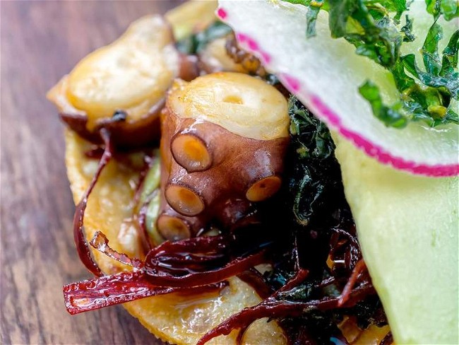 Image of Grilled Octopus Tacos Recipe