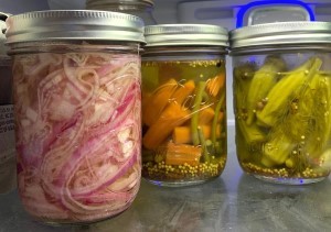Image of Quick Pickled Red Onions