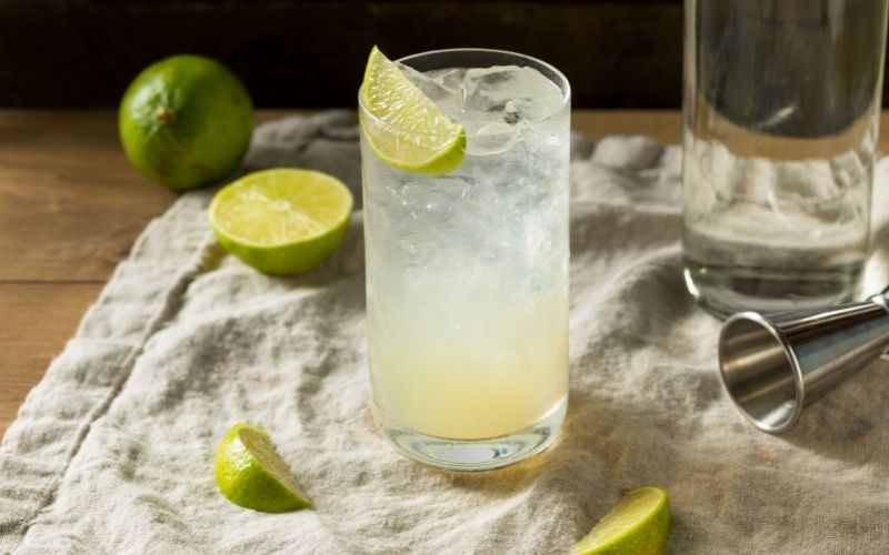 Vodka Lime Rickey