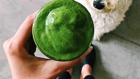 Image of Green Goddess Smoothie Recipe