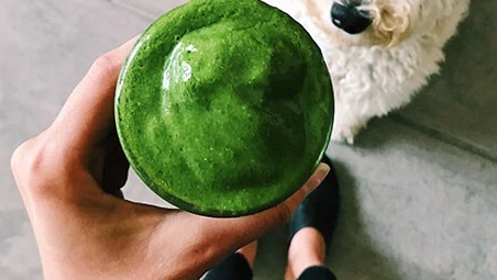 Image of  Green Goddess Smoothie Recipe