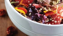 Image of Winter Citrus Salad with Quinoa Recipe