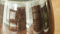 Image of Blueberry Carob Smoothie