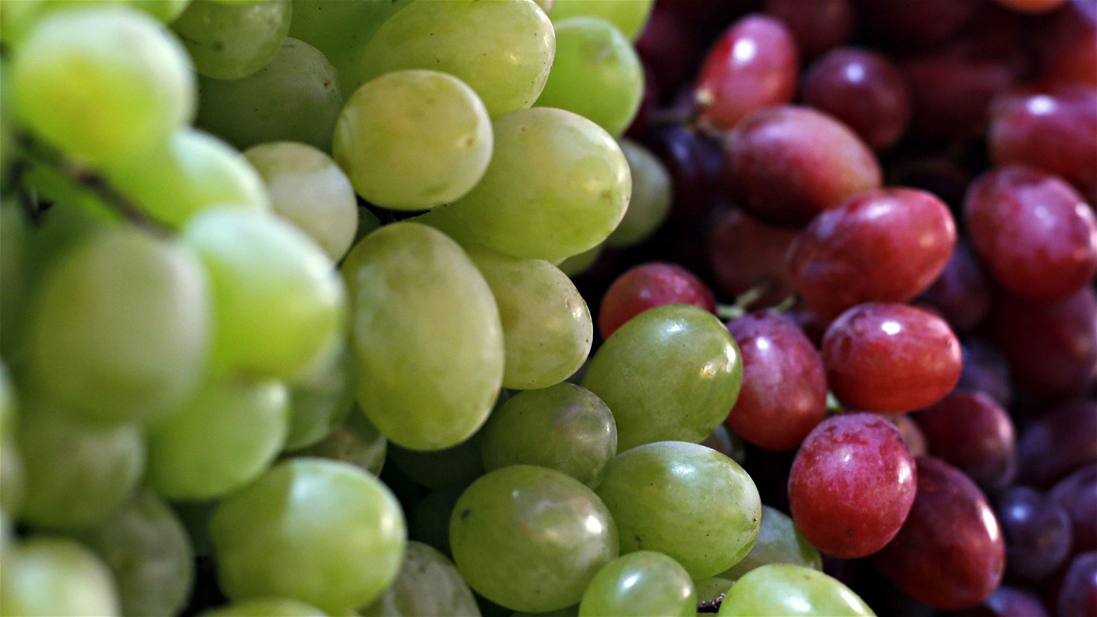 Image of GRAPE SALAD WITH HONEY LEMON SAUCE