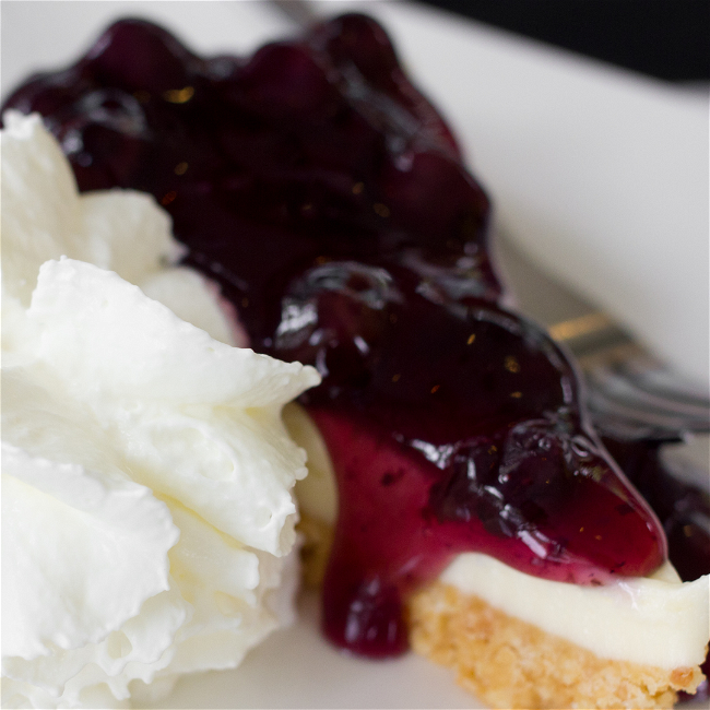 Image of Low Carb Mama's Quick and Easy Cheesecake