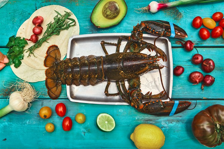 Image of Achetez un homard déjà cuit pour sauter cette étape!