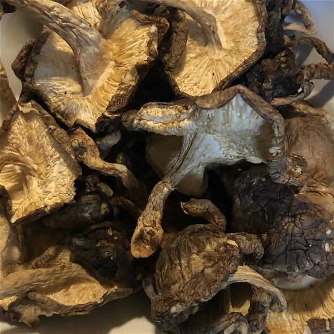 Image of Mushroom Gravy
