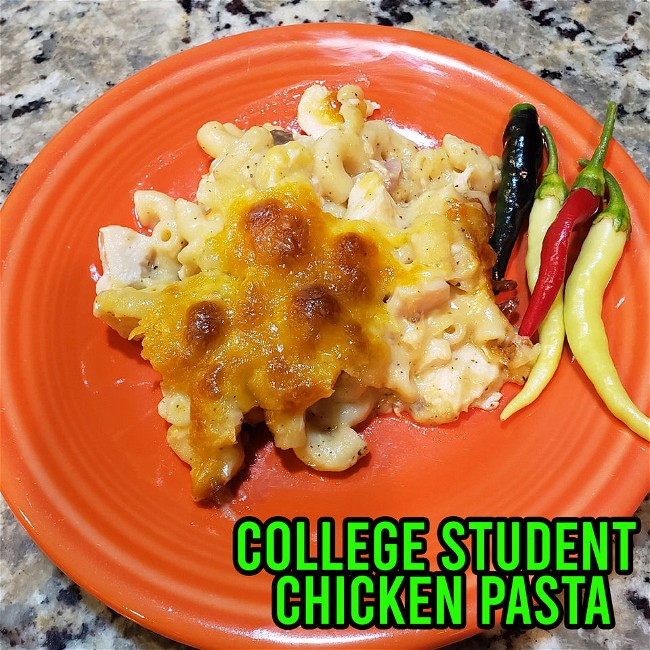 Image of College Student Chicken Pasta 