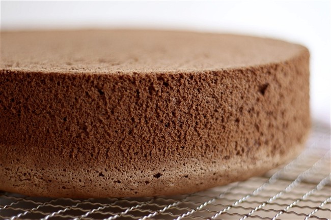 Image of Chocolate Sponge Cake
