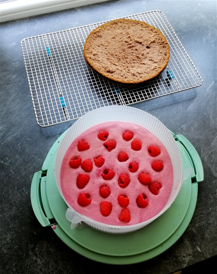 Image of Halve the sponge cake horizontally and place a cake ring...