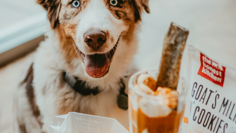 Image of The Perfect Pup Parfait