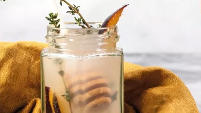 Image of Thyme & Plum Gin Fizz