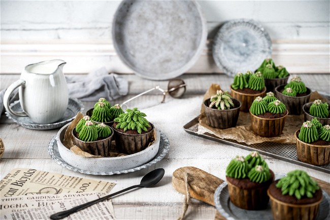 Image of Sukkulenten Cupcakes 