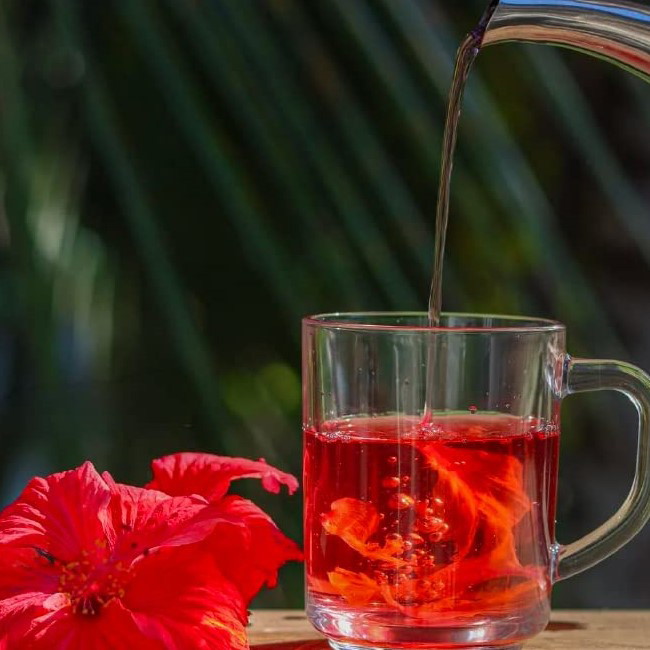 Hibiscus Flower Tea