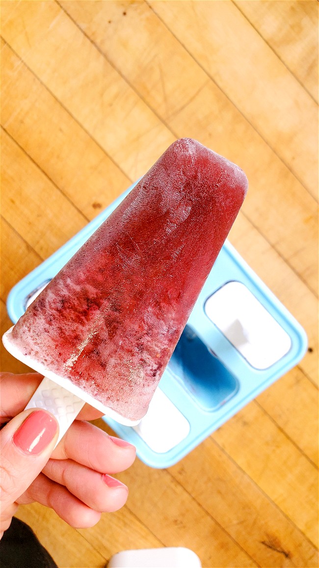 Image of Bone Broth Popsicles