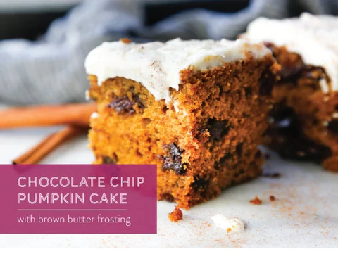 Image of  Chocolate Chip Pumpkin Cake