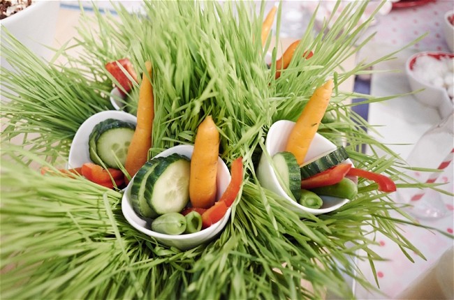 Image of Veggie Forest with Parmesan Ranch Dip
