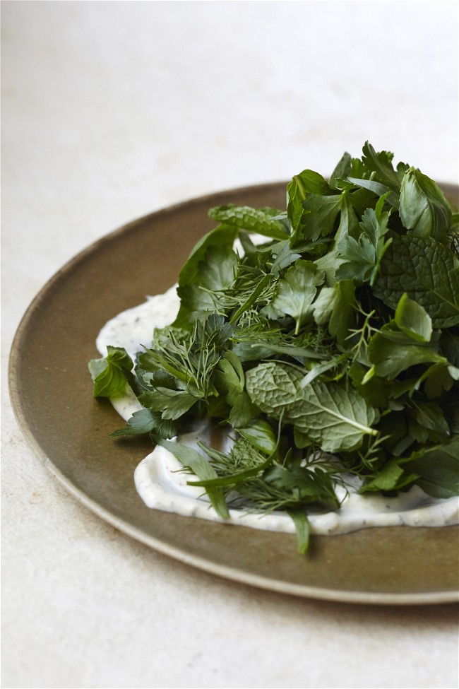Image of Herb Salad with Yogurt Dressing